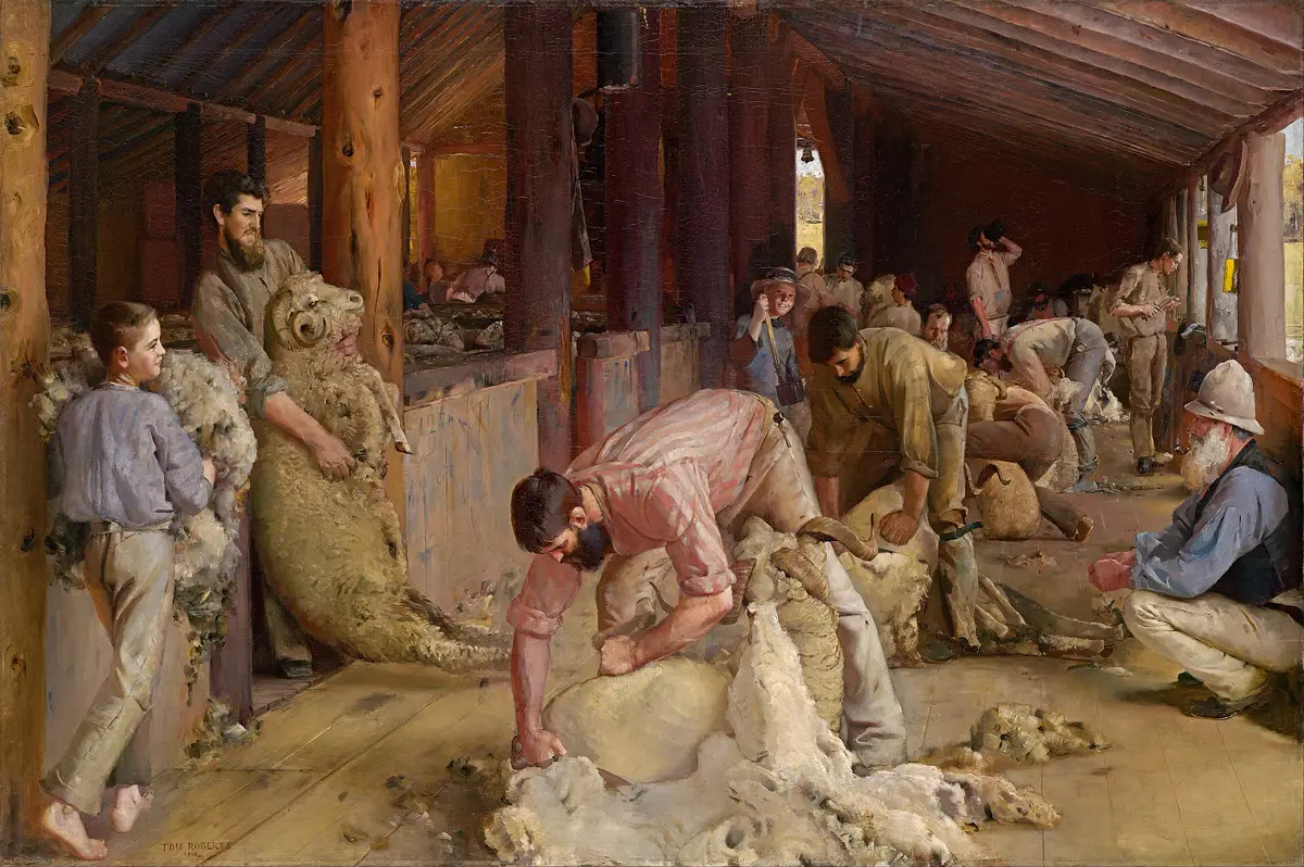 L'intérieur d'un hangar de tonte en bois : au premier plan, des tondeurs penchés sur des béliers, d'autres alignés dans l'allée faisant le même travail, un garçon qui porte la laine, un homme qui amène un bélier et un vieil homme accroupi qui regarde.