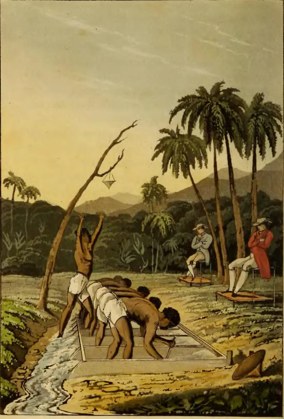 Gravure coloriée : au bord d'une rivière, des esclaves penchés lavent le gravier dans des auges de bois, l'un lève les bras ; à droite, deux surveillants sont assis sur des sièges hauts, sous des palmiers.