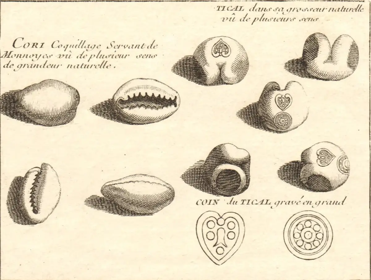 Gravure : des coquillages vus sous plusieurs angles, légendés « Cori, coquillage servant de monnoyes », et des lingots d'argent en forme de balle, les ticals de Siam, avec le dessin agrandi de leur poinçon.