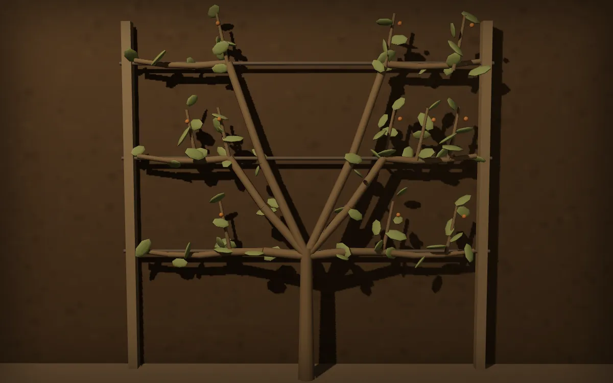 Un arbre fruitier contre un mur : d'abord libre, puis taillé et couché sur les trois fils d'un treillage dont il a pris la forme.
